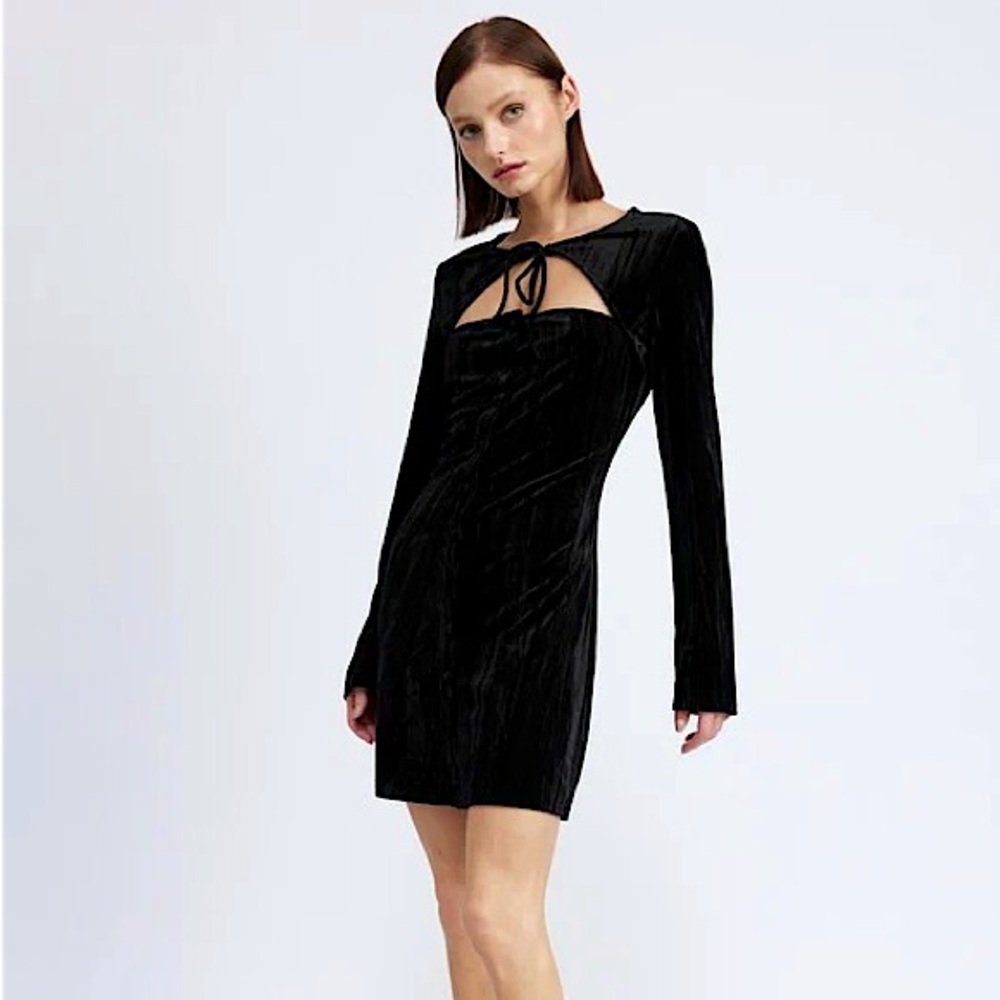 Emory Park LONG SLEEVE MINI SUEDE DRESS Size L